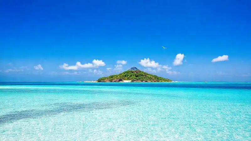 Un paraíso tropical en vuelo