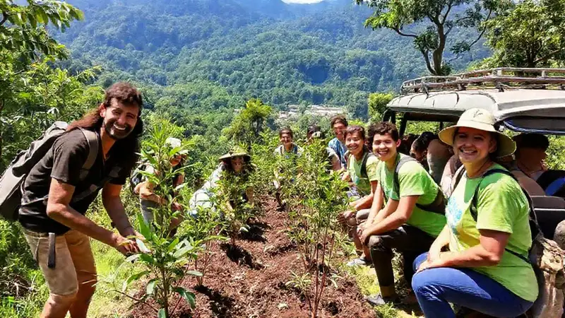 Voluntarios plantan árboles en selva exuberante