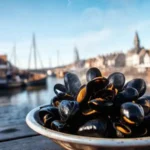 Bélgica costera ofrece mariscos y encanto