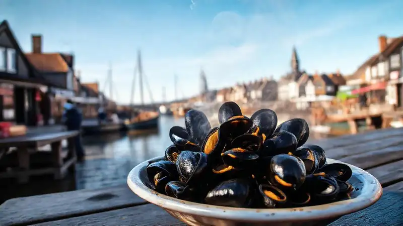 Bélgica costera ofrece mariscos y encanto