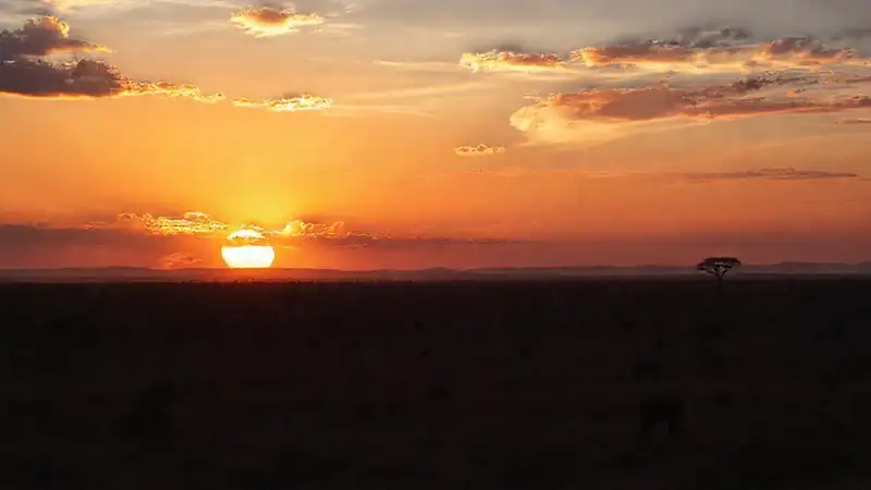 Safaris africanas ofrecen paisajes y vida silvestre