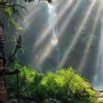 El chamán ritualiza en selva sagrada