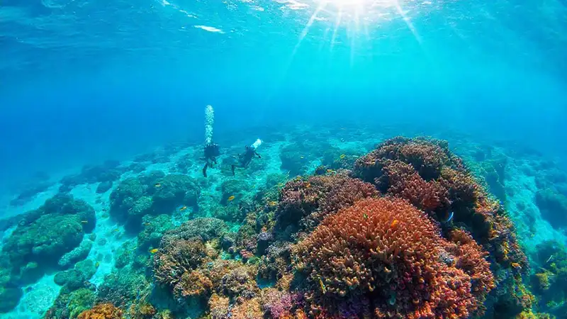Tuvalu ofrece un arrecife coral vibrante