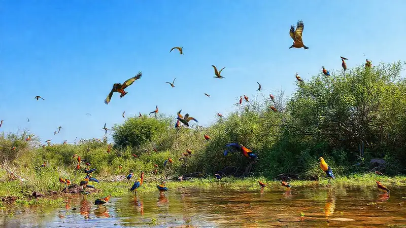 Un oasis africano