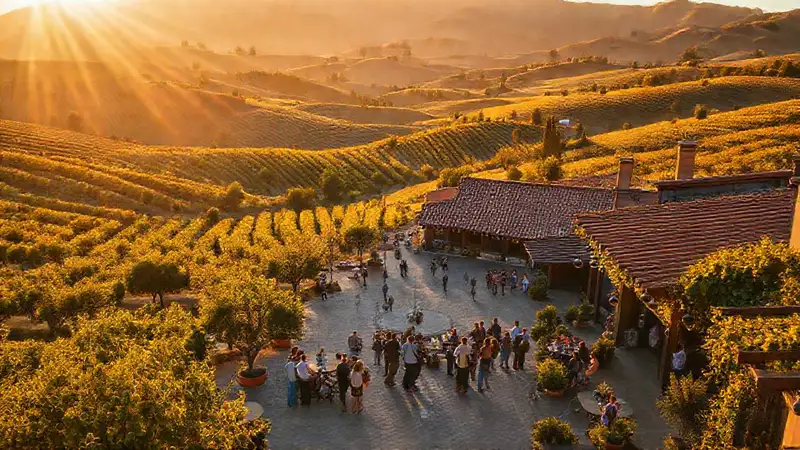 California ofrece vino, sol y encanto