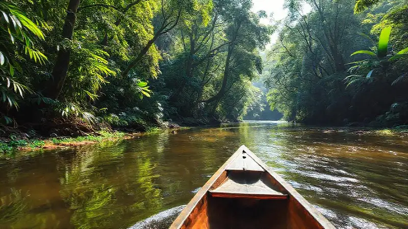 Río serpenteante: aventura verde y serena