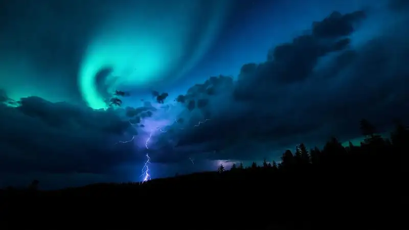 Bosque oscuro, aurora, silueta imponente