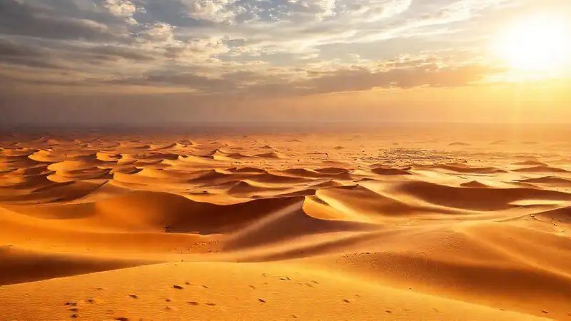 Dunas doradas