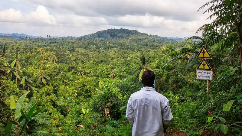 Ghana: selva tropical