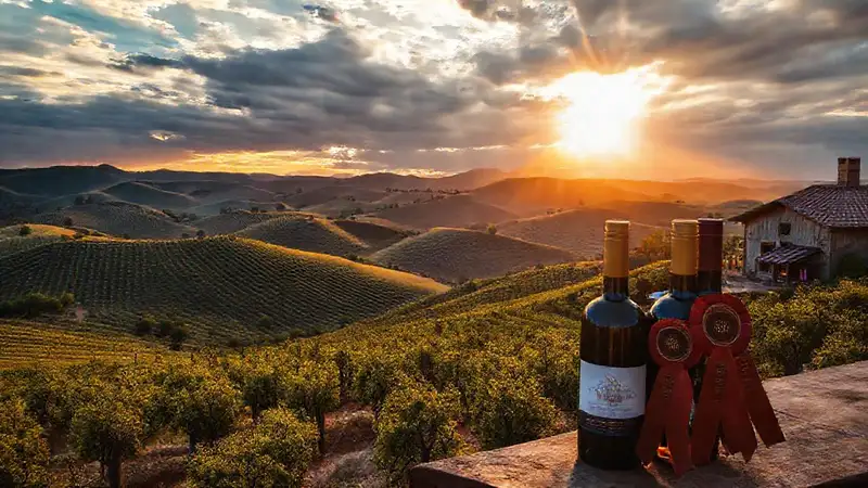 Argentina ofrece paisajes vinícolas espectaculares y premios