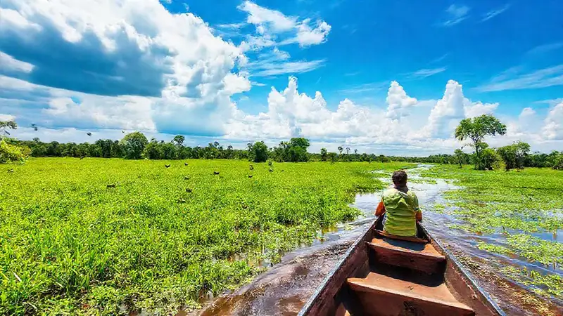 El Pantanal ofrece un viaje aventurero y colorido