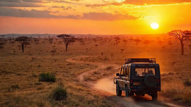 Safari africano: puesta de sol