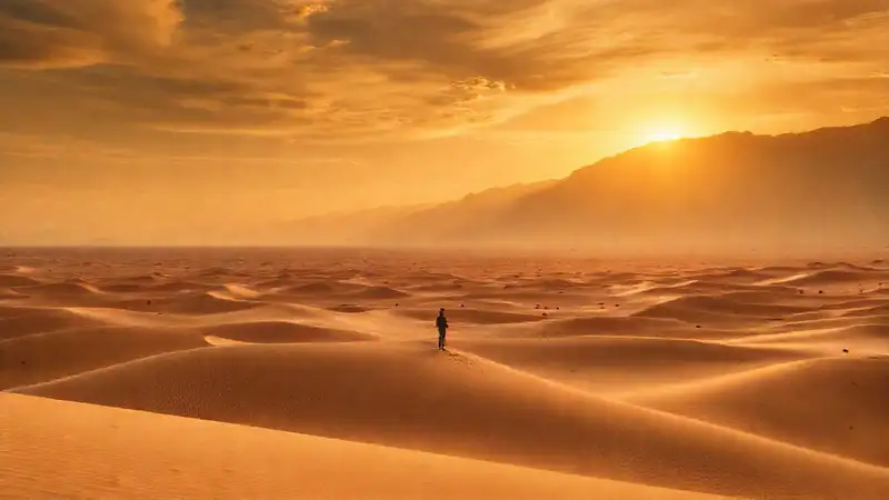 Un viajero solitario contempla el desierto