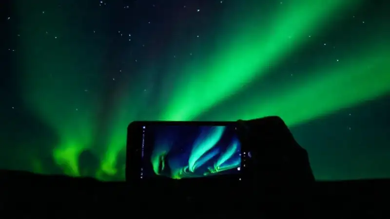 Captura el verde mágico en la noche