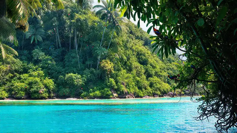 Isla tropical: aves exóticas y exploración